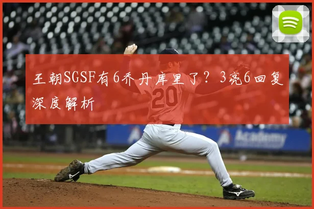王朝SGSF有6乔丹库里了？3亮6回复深度解析