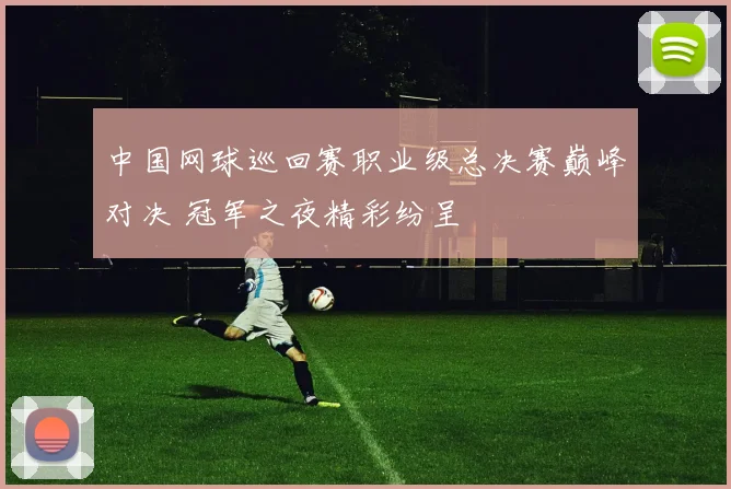中国网球巡回赛职业级总决赛巅峰对决 冠军之夜精彩纷呈