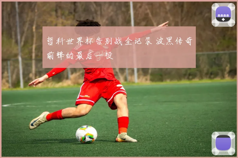 哲科世界杯告别战全记录 波黑传奇前锋的最后一役
