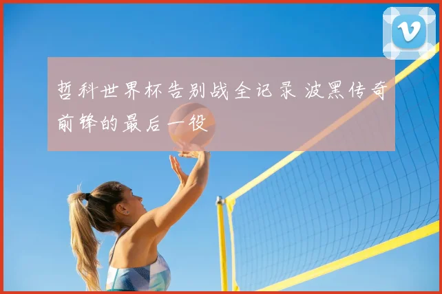 哲科世界杯告别战全记录 波黑传奇前锋的最后一役