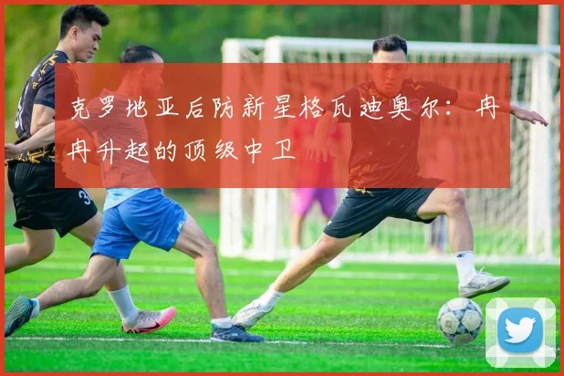 克罗地亚后防新星格瓦迪奥尔：冉冉升起的顶级中卫