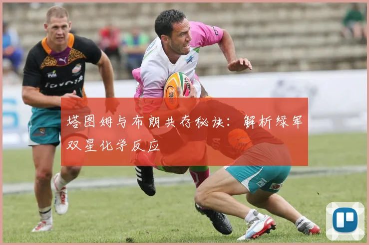 塔图姆与布朗共存秘诀：解析绿军双星化学反应